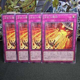 Brand that divides Normal JP070