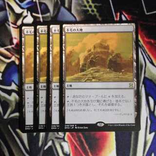 バラ売り可能 不毛の大地 4枚 日本語