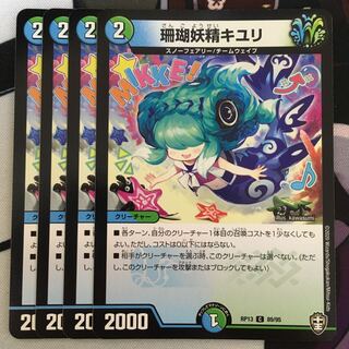 Coral Fairy Kiuri C 89/95