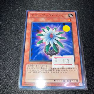 グローアップ・バルブ ノーマル JP018 1枚 特価品 1枚