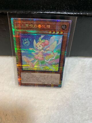 丘と芽吹の春化精 プリズマティックシークレットレア JP016