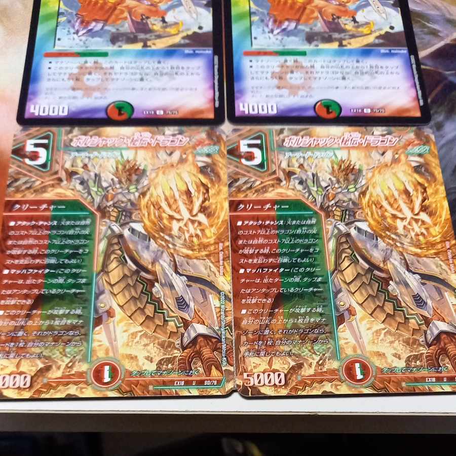 ボルシャック・秘伝・ドラゴン