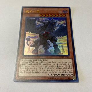 Punishment Dragon Ultra Rare JP028