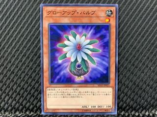 【アゴ之内】遊戯王 グローアップ・バルブ ノーマル