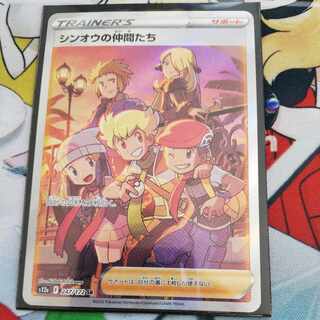 Shin-Oh's friends SR 247/172