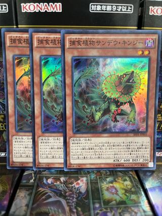 遊戯王スタジオ 3042 捕食植物サンデウ・キンジー スーパーレア JP005