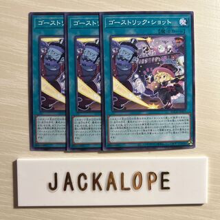 Haunter Rick Schott $7114