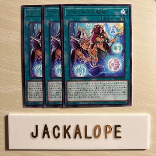 10727 アマゾネスの秘術 レア JP036