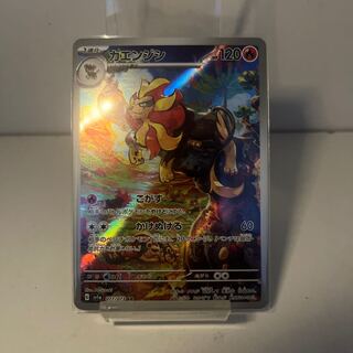 カエンジシ AR 077/073