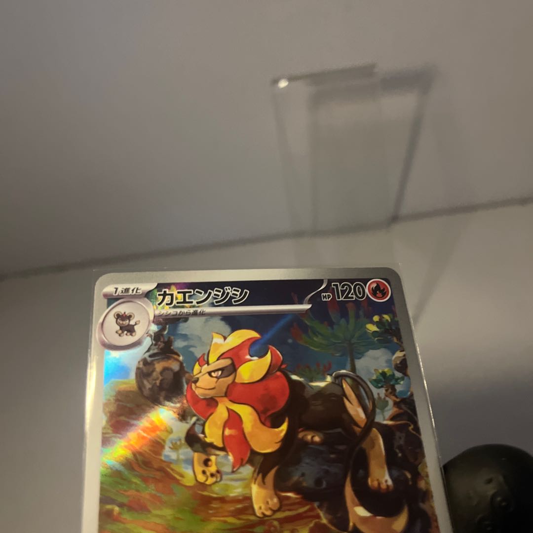 カエンジシ AR 077/073