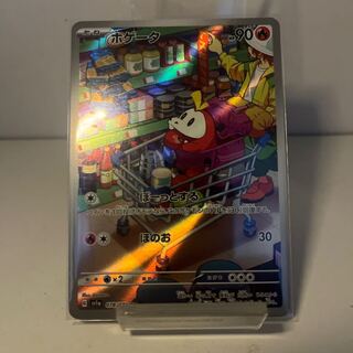 ホゲータ AR 078/073