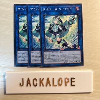 サイバース・ウィキッド $7151