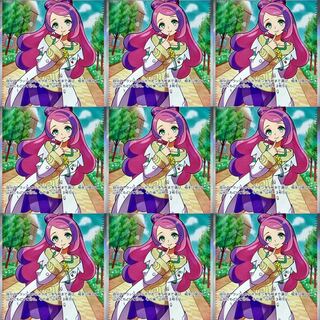 ゴキさん　専用　2口 1枚