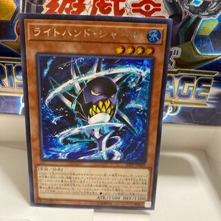 ライトハンドシャーク　シク