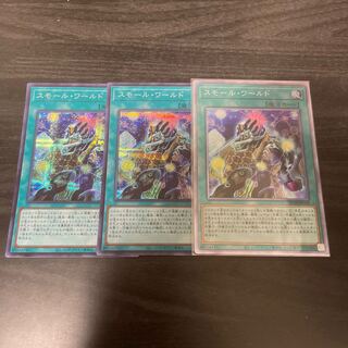 Small World EXSE 1 piece Sikh 2 pieces