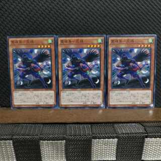 【ぽぽたん】遊戯王  #2046  霊魂鳥-忍鴉   ノーマル  3枚