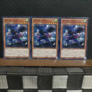 【ぽぽたん】遊戯王  #2047  霊魂鳥-忍鴉   ノーマル  3枚