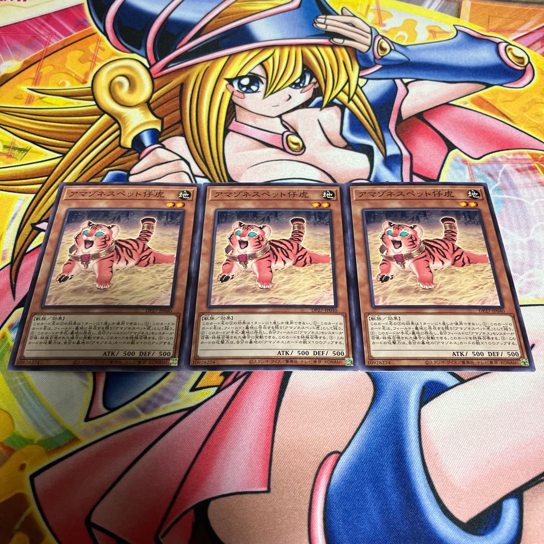 Amazoness Baby Tiger Normal JP040