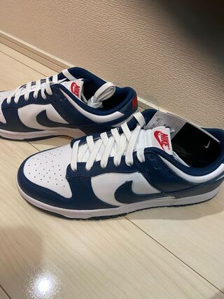 Nike Dunk Low "Valerian Blue "27 27cm