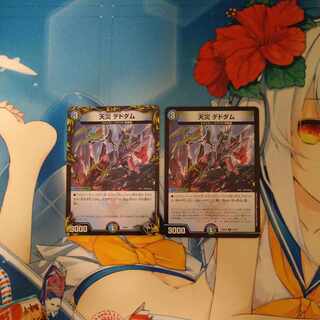 天災 デドダム R 33/75　と黒トレ 1枚