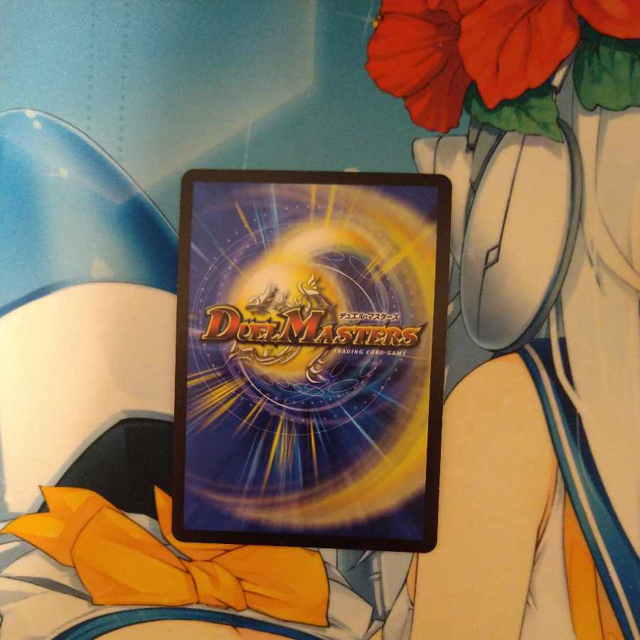 切札勝太&カツキング -熱血の物語- DSR 超2/超50