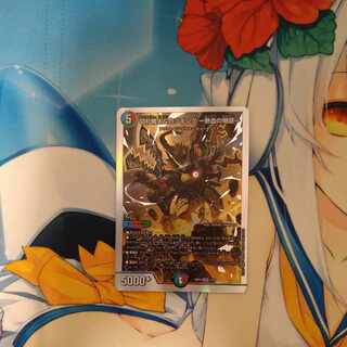 切札勝太&カツキング -熱血の物語- DSR 1/14