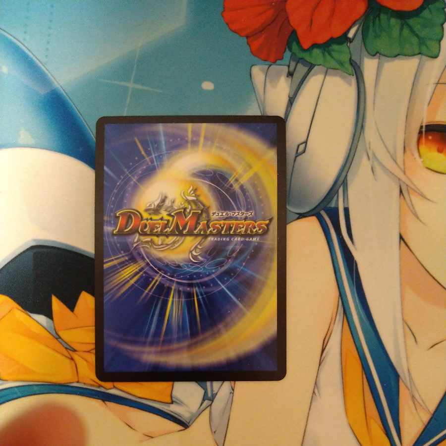 切札勝太&カツキング -熱血の物語- DSR 1/14