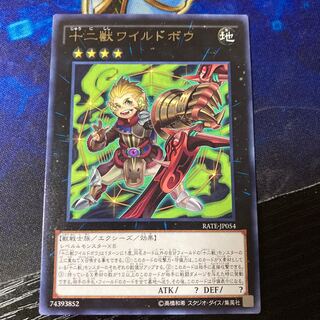 十二獣ワイルドボウ レア JP054