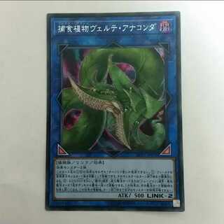 捕食植物ヴェルテ・アナコンダ