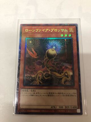 Lonefire Blossom Collector's Rare JP002