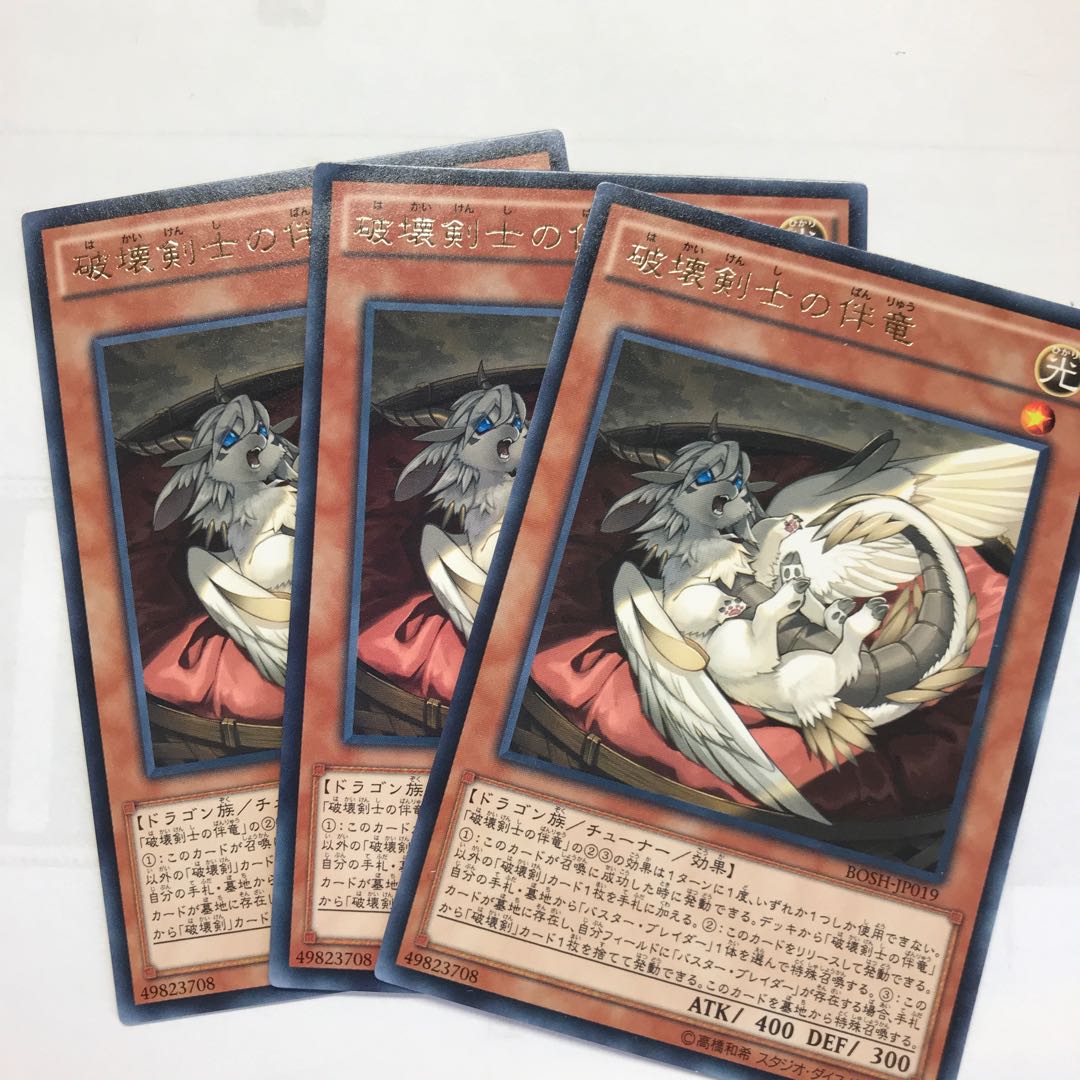 破壊剣士の伴竜