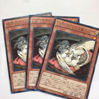 破壊剣士の伴竜