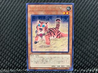 【アゴ之内】遊戯王 アマゾネスペット仔虎 レア