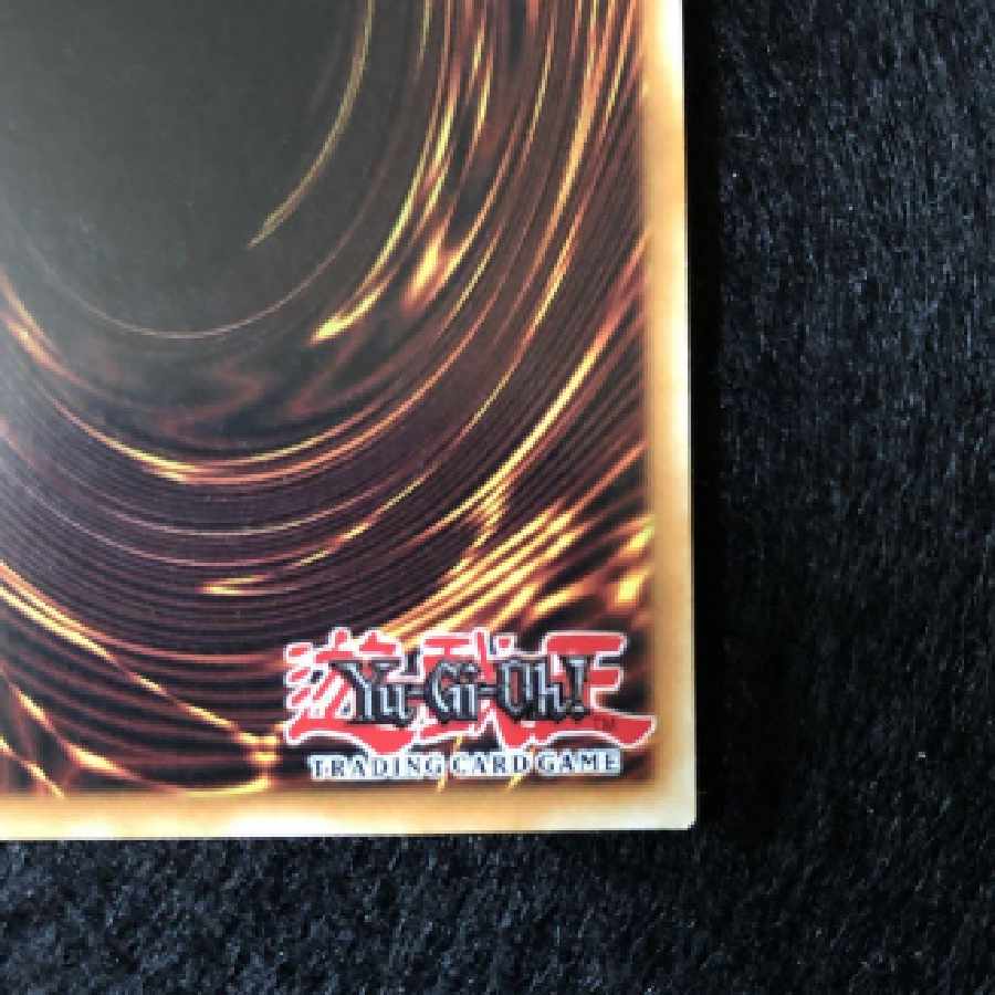 【極美品】遊戯王 輪廻竜サンサーラ 米版1st ウルトラ