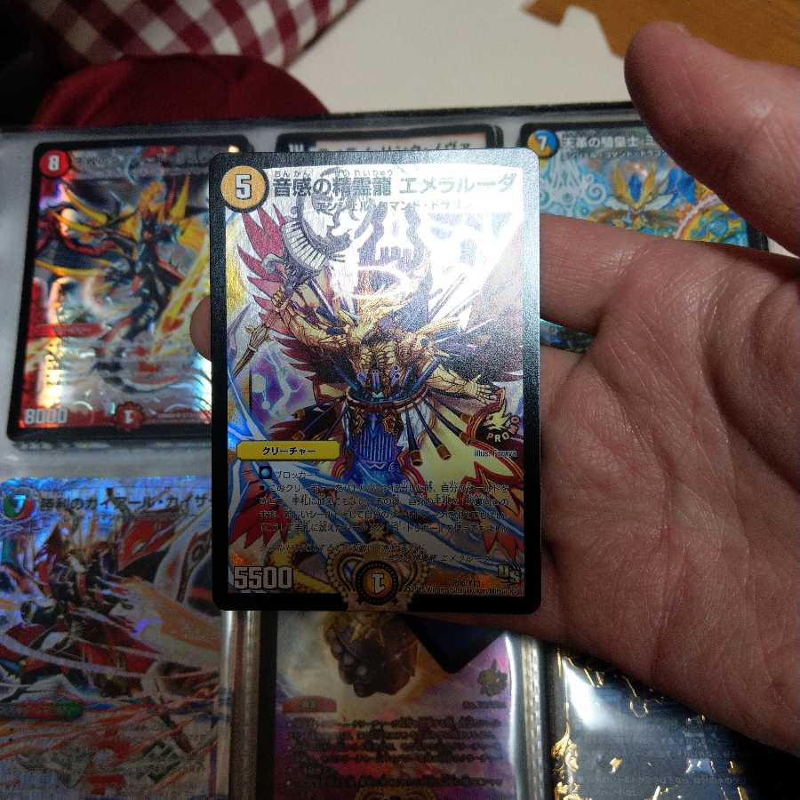 追跡あり　エメラルーダ　プロモ