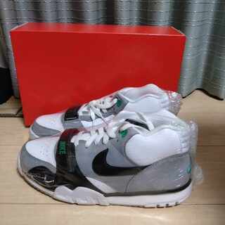 ナイキ エアトレーナー 1 "クロロフィル" 27cm