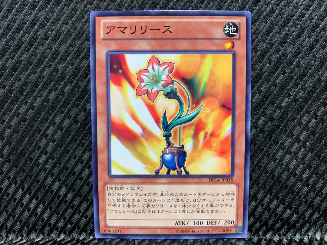 【アゴ之内】遊戯王 アマリリース ノーマル