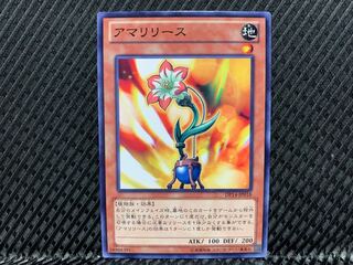 【アゴ之内】遊戯王 アマリリース ノーマル