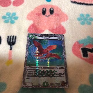 Birds of Paradise (Copper Treasure) R-foil TF12/TF20