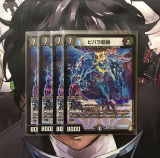 ビバラ龍樹　4枚