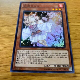 Ash Blossom & Joyous Spring