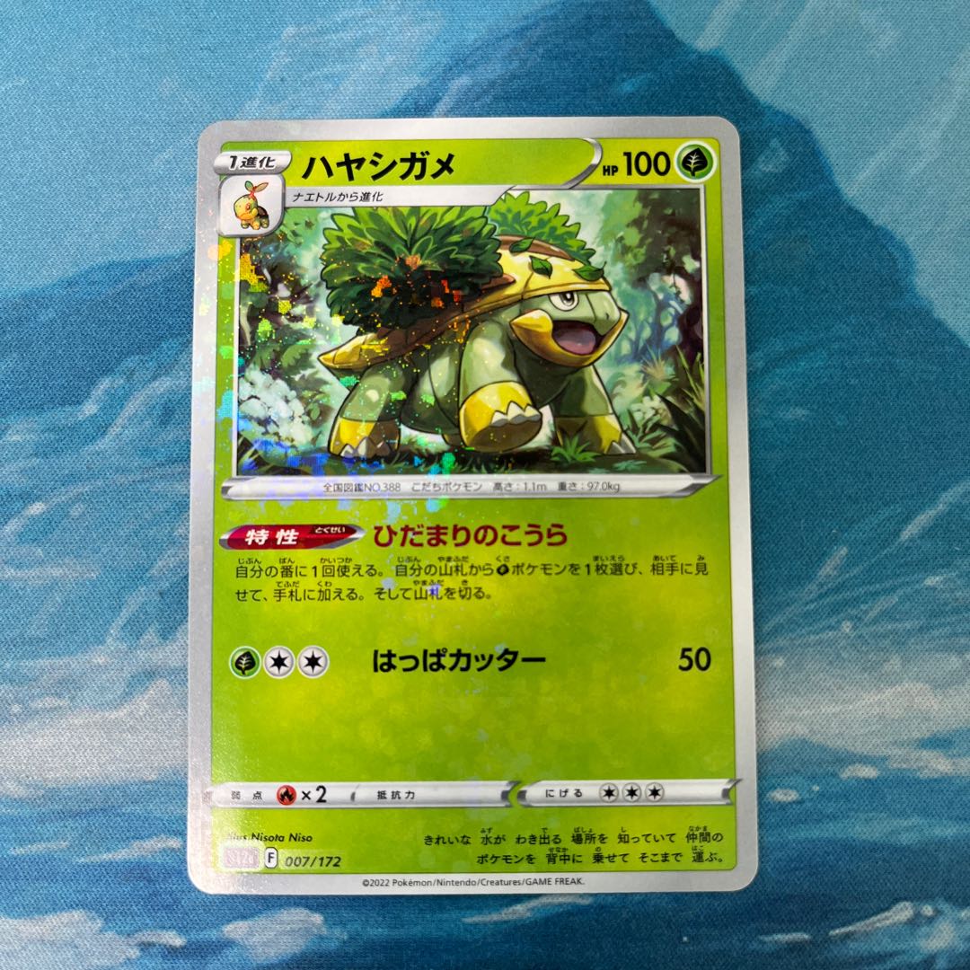 ポケカ ハヤシガメ