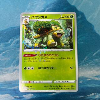 ポケカ ハヤシガメ