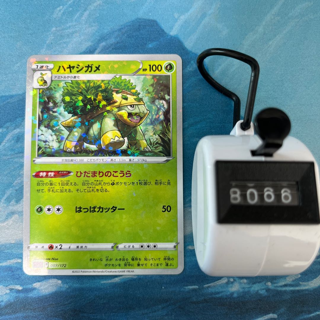 ポケカ ハヤシガメ