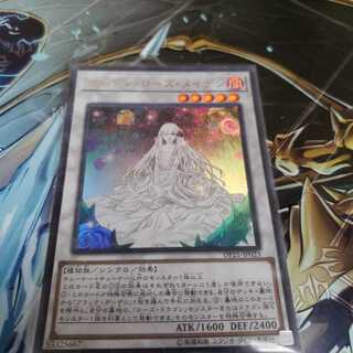 ガーデン・ローズ・メイデン