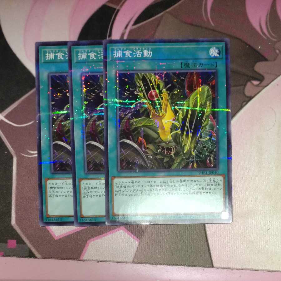 Predapractice Parallel Normal JP040 3 copies