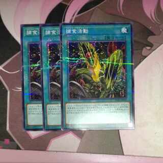 Predapractice Parallel Normal JP040 3 copies