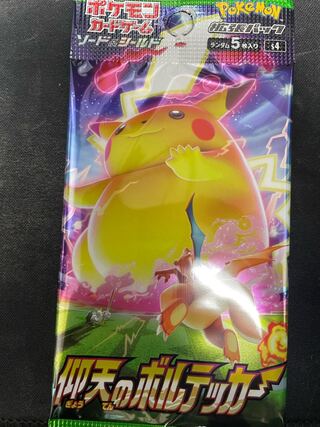 ししんしんさん専用