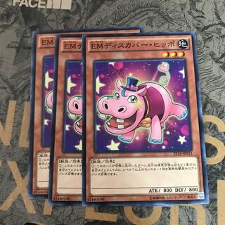 マドレース EMディスカバー・ヒッポ