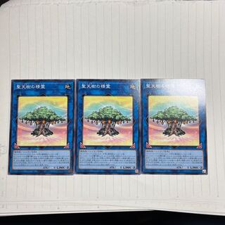 Sunavalon Dryades Normal JP032